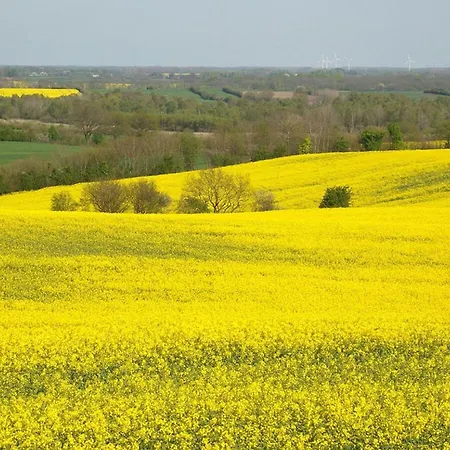 Seegras - Mit Spielscheune, Direkt Am Wittensee *