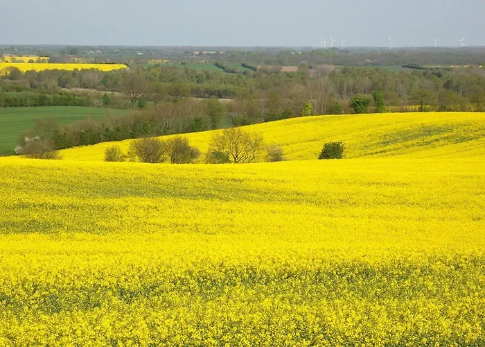 Seegras - Mit Spielscheune, Direkt Am Wittensee *